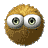 79