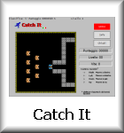 Catch It Game