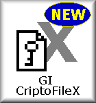 GI CriptoFileX