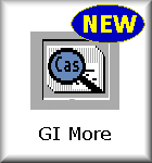 GI More Amiga